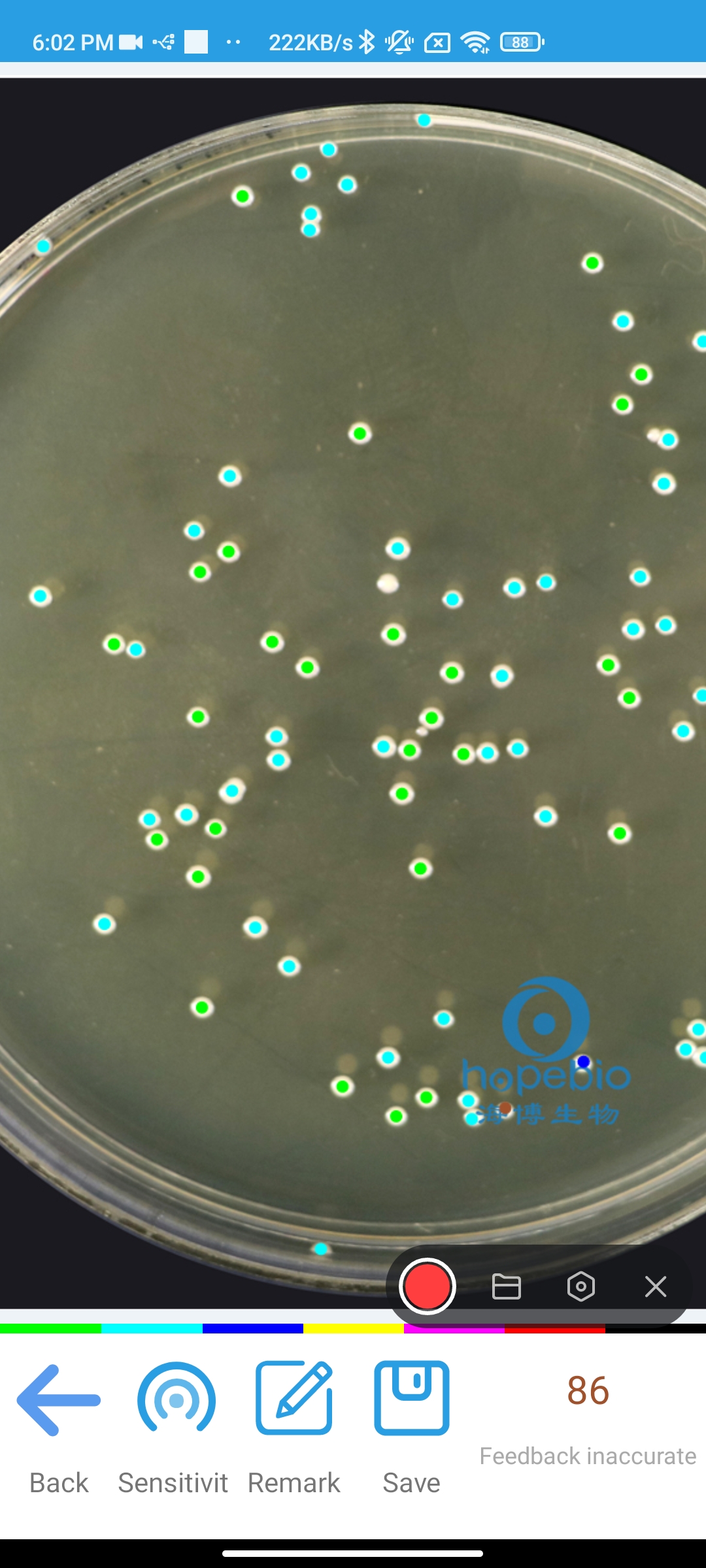 How do you Automated count colonies on spread plate